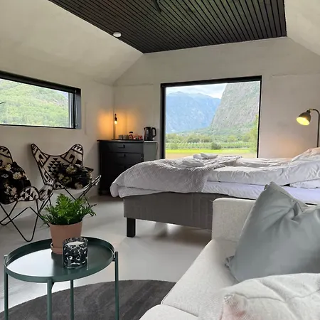 Jordeplegarden - Part Of A Farm - Two Buildings - Close To Flam 度假居 Lærdalsøyri